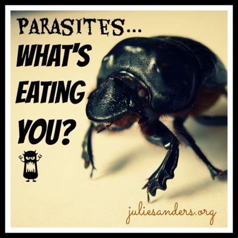 porn parasites|Parasited free HD porn videos .